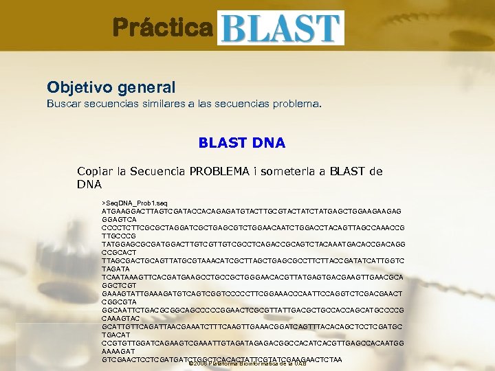 Práctica Objetivo general Buscar secuencias similares a las secuencias problema. BLAST DNA Copiar la