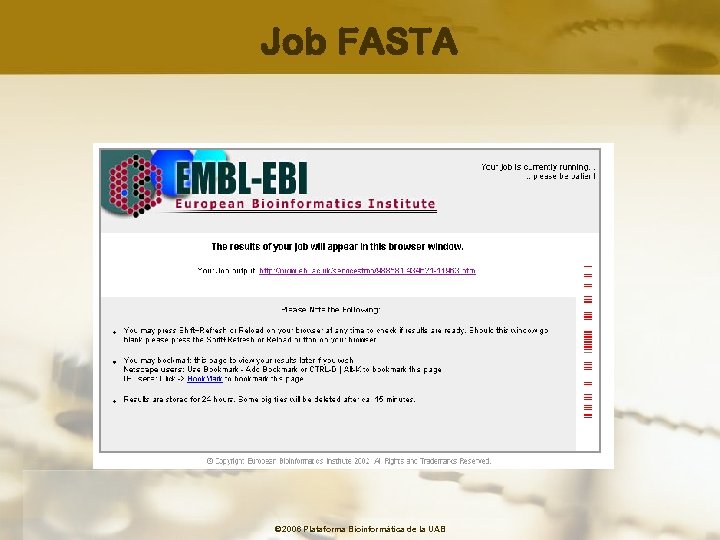 Job FASTA © 2006 Plataforma Bioinformàtica de la UAB 