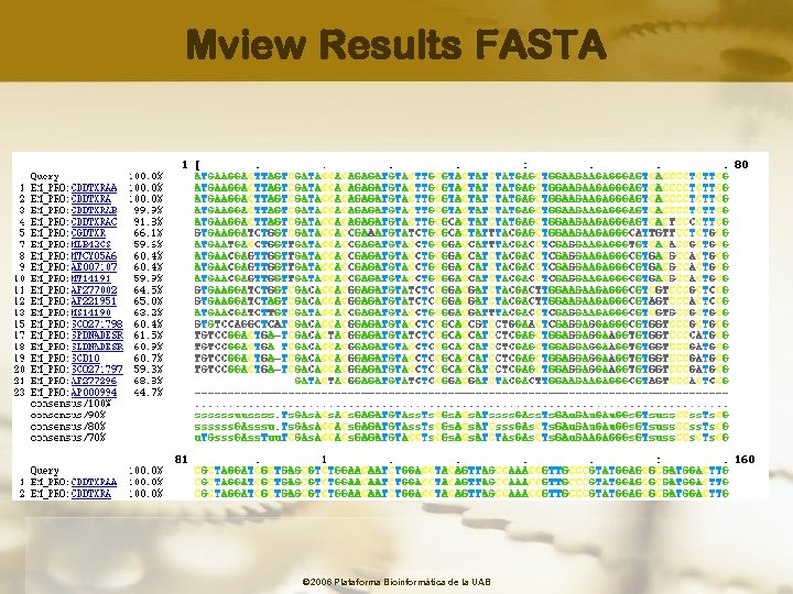 Mview Results FASTA © 2006 Plataforma Bioinformàtica de la UAB 