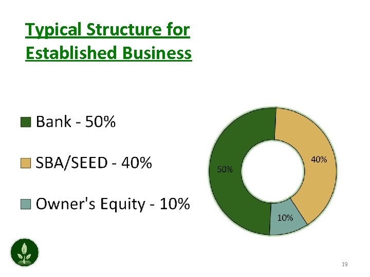 Typical Structure for Established Business 19 