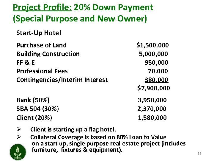 Project Profile: 20% Down Payment (Special Purpose and New Owner) Start-Up Hotel Purchase of