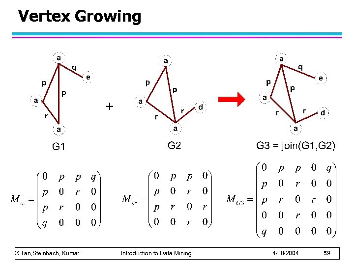 Vertex Growing © Tan, Steinbach, Kumar Introduction to Data Mining 4/18/2004 59 