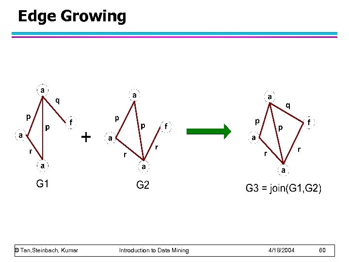 Edge Growing © Tan, Steinbach, Kumar Introduction to Data Mining 4/18/2004 60 