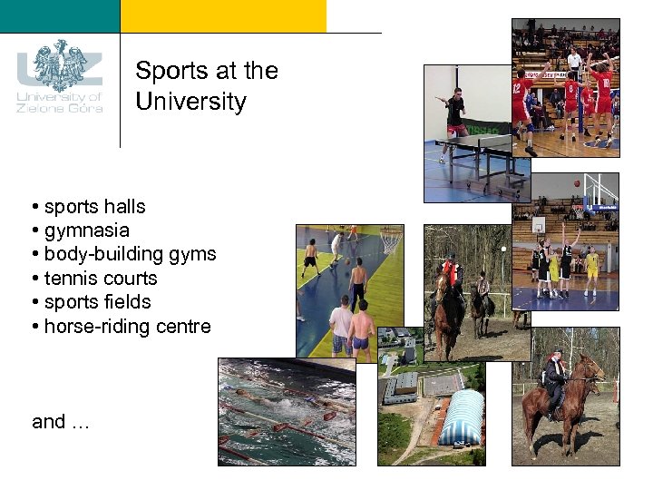 Sports at the University • sports halls • gymnasia • body-building gyms • tennis