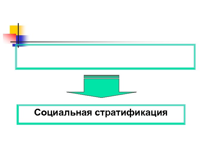 Социальная стратификация 