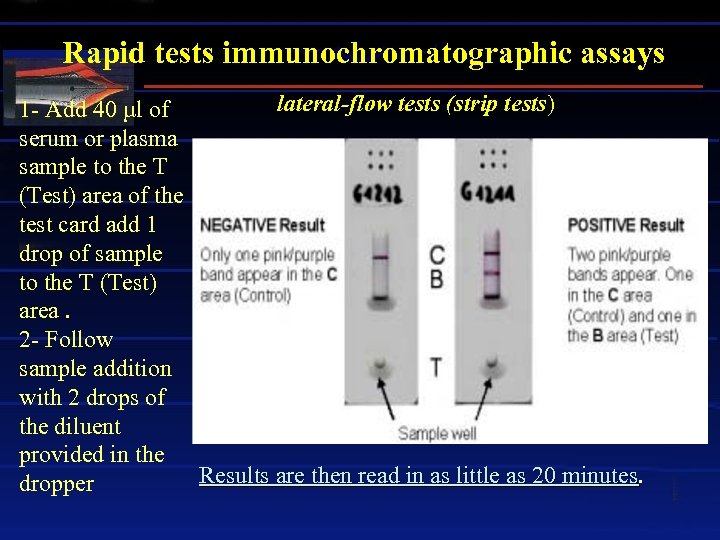 Rapid tests immunochromatographic assays lateral-flow tests (strip tests) tests 1 - Add 40 µl