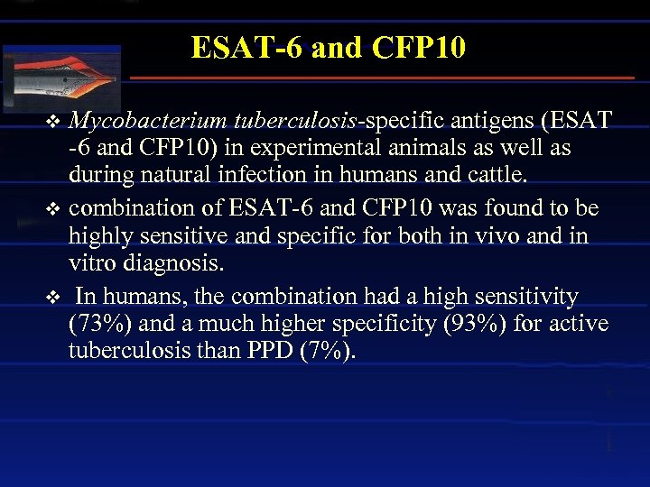 ESAT-6 and CFP 10 Mycobacterium tuberculosis-specific antigens (ESAT -6 and CFP 10) in experimental