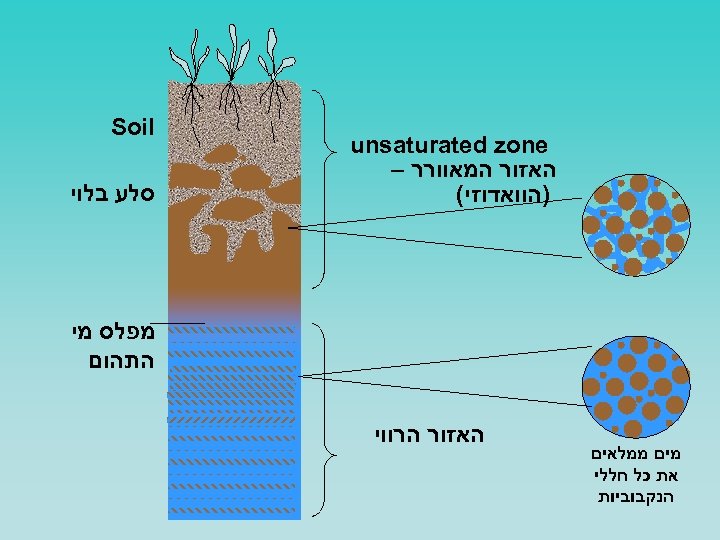  unsaturated zone האזור המאוורר – )הוואדוזי( Soil סלע בלוי מפלס מי התהום מים