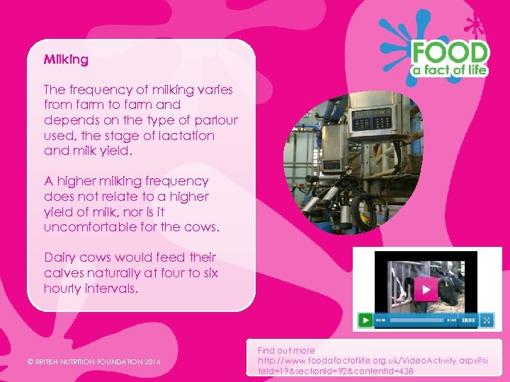 Milking The frequency of milking varies from farm to farm and depends on the