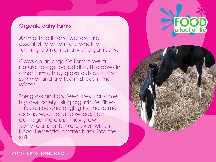 Organic dairy farms Animal health and welfare essential to all farmers, whether farming conventionally