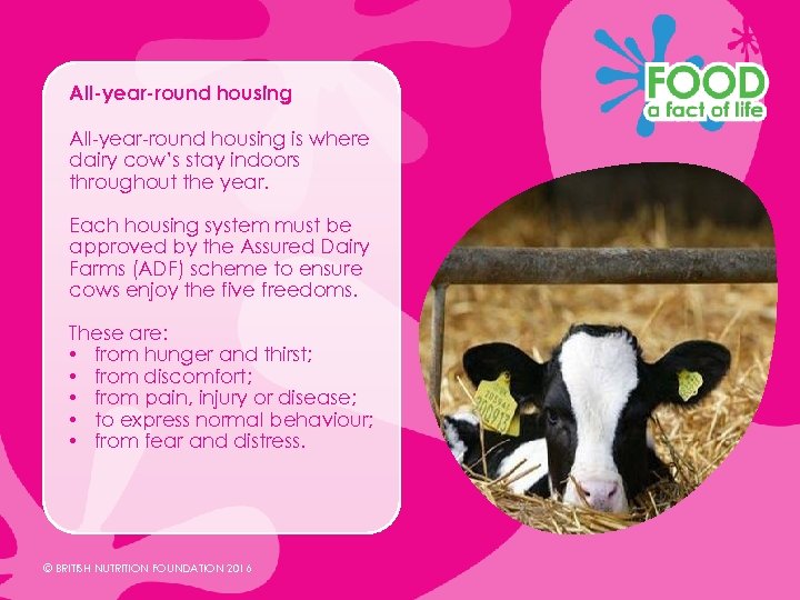 All-year-round housing is where dairy cow’s stay indoors throughout the year. Each housing system