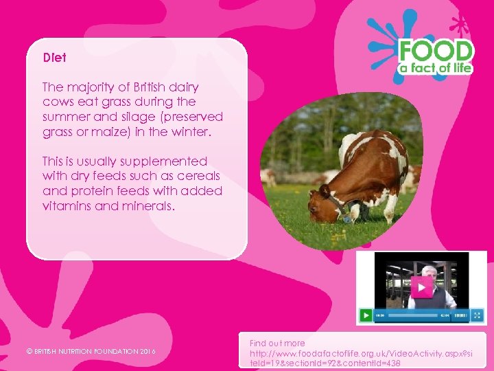 Diet The majority of British dairy cows eat grass during the summer and silage