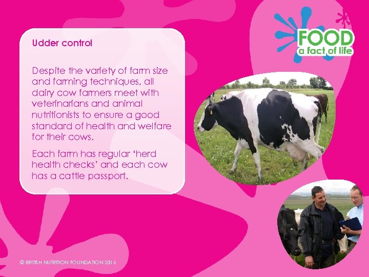 Udder control Despite the variety of farm size and farming techniques, all dairy cow