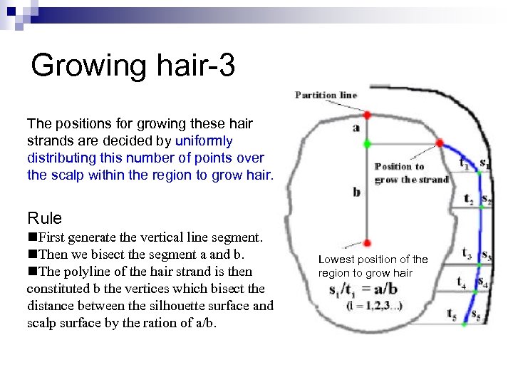 Growing hair-3 The positions for growing these hair strands are decided by uniformly distributing