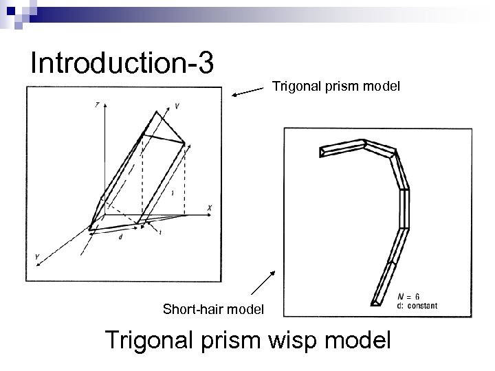 Introduction-3 Trigonal prism model Short-hair model Trigonal prism wisp model 