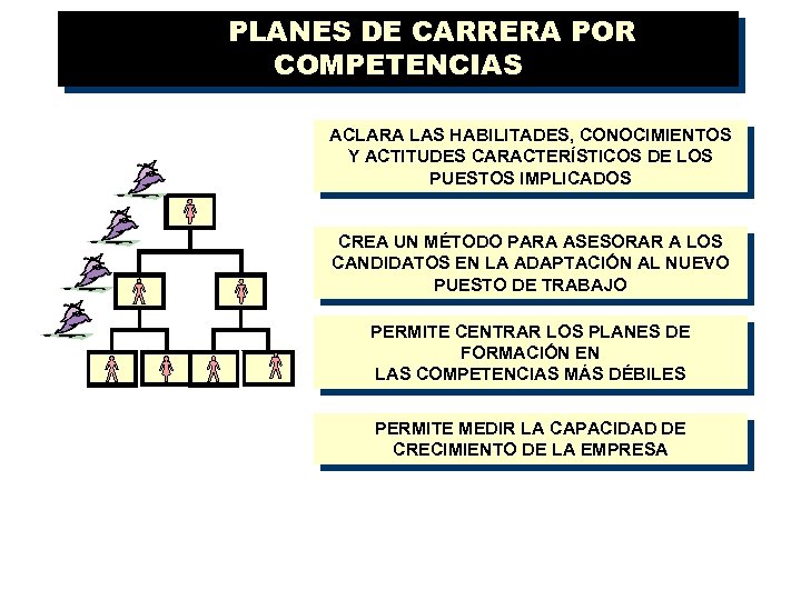 PLANES DE CARRERA POR COMPETENCIAS ACLARA LAS HABILITADES, CONOCIMIENTOS Y ACTITUDES CARACTERÍSTICOS DE LOS