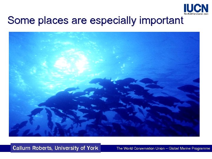 Some places are especially important Callum Roberts, University of York The World Conservation Union