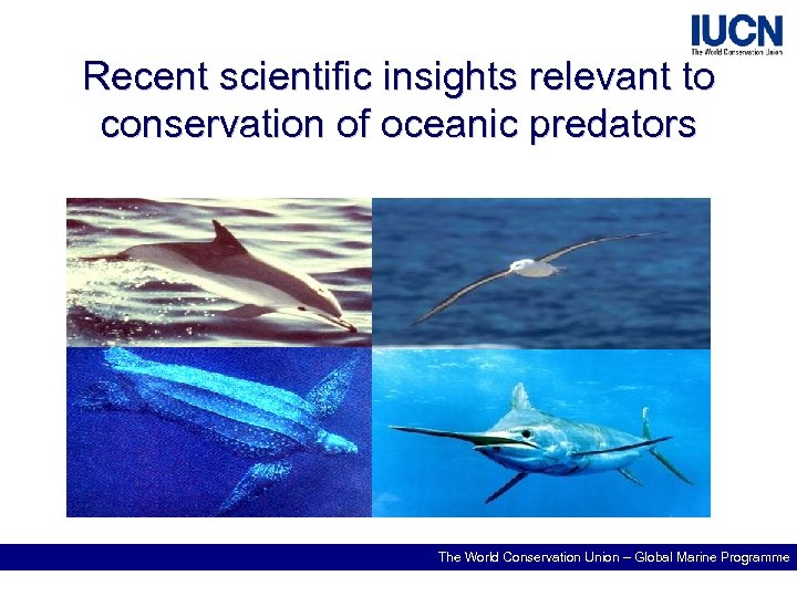 Recent scientific insights relevant to conservation of oceanic predators The World Conservation Union –