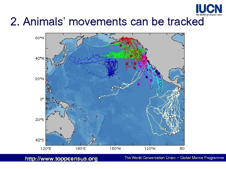 2. Animals’ movements can be tracked http: //www. toppcensus. org/ The World Conservation Union