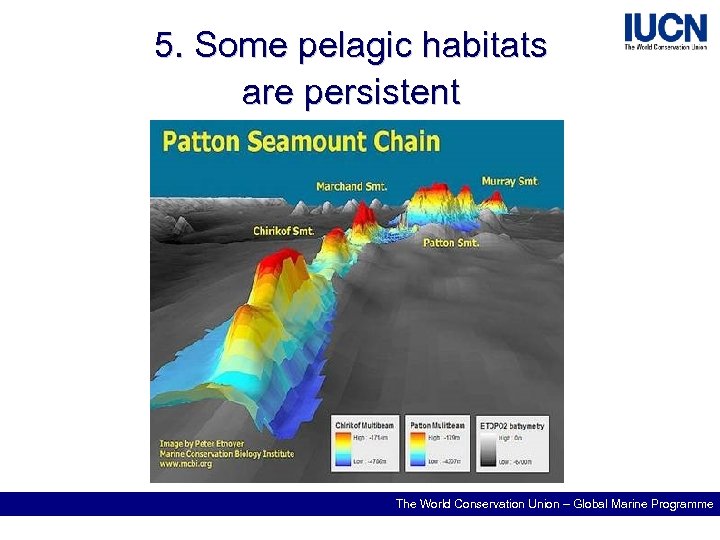 5. Some pelagic habitats are persistent The World Conservation Union – Global Marine Programme
