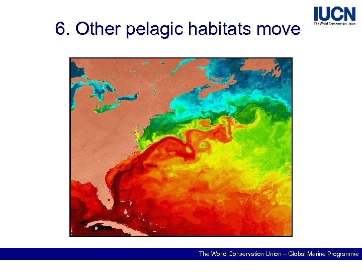 6. Other pelagic habitats move The World Conservation Union – Global Marine Programme 