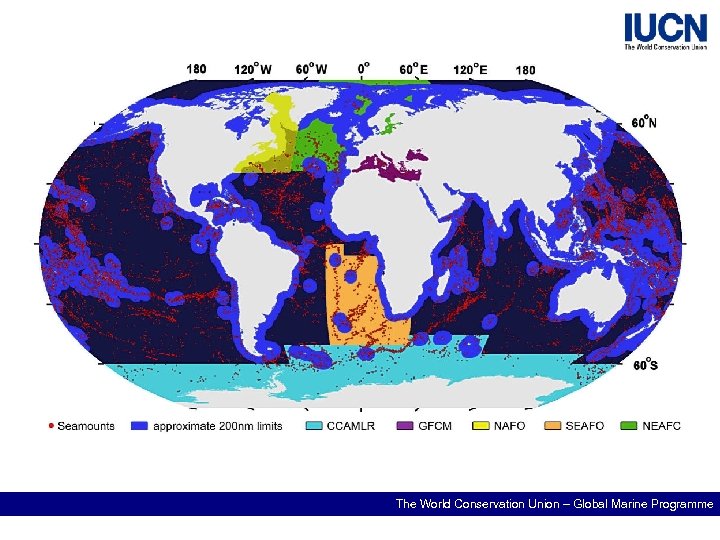 The World Conservation Union – Global Marine Programme 