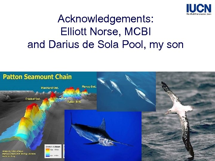 Acknowledgements: Elliott Norse, MCBI and Darius de Sola Pool, my son The World Conservation