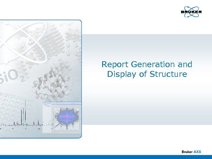 Report Generation and Display of Structure 