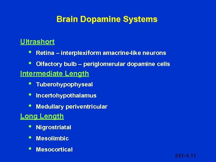 Brain Dopamine Systems Ultrashort • • Retina – interplexiform amacrine-like neurons Olfactory bulb –