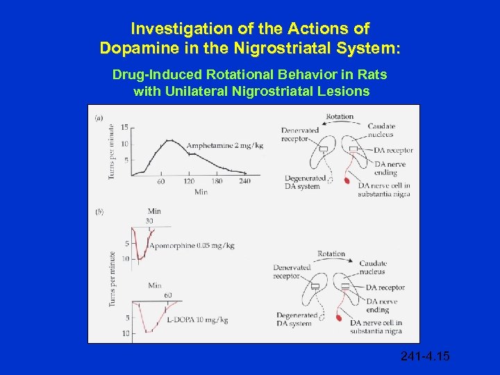 Investigation of the Actions of Dopamine in the Nigrostriatal System: Drug-Induced Rotational Behavior in