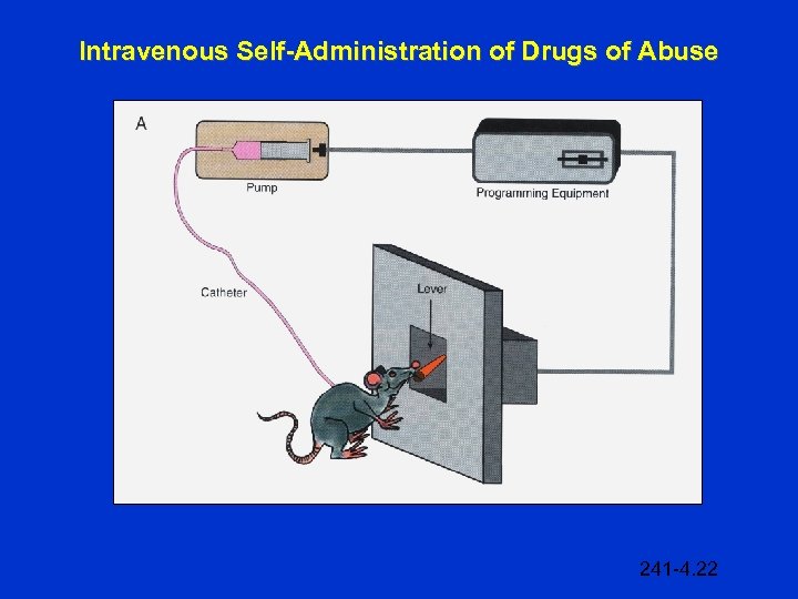 Intravenous Self-Administration of Drugs of Abuse 241 -4. 22 