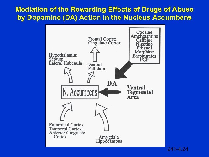 Mediation of the Rewarding Effects of Drugs of Abuse by Dopamine (DA) Action in