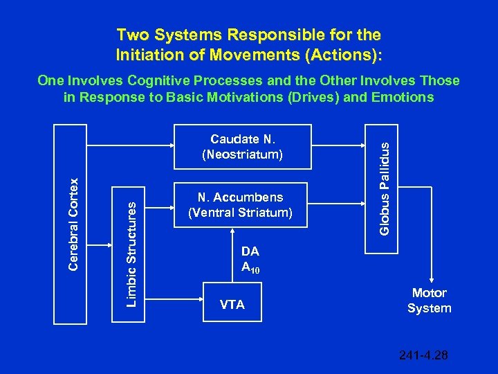 Two Systems Responsible for the Initiation of Movements (Actions): Limbic Structures Cerebral Cortex Caudate