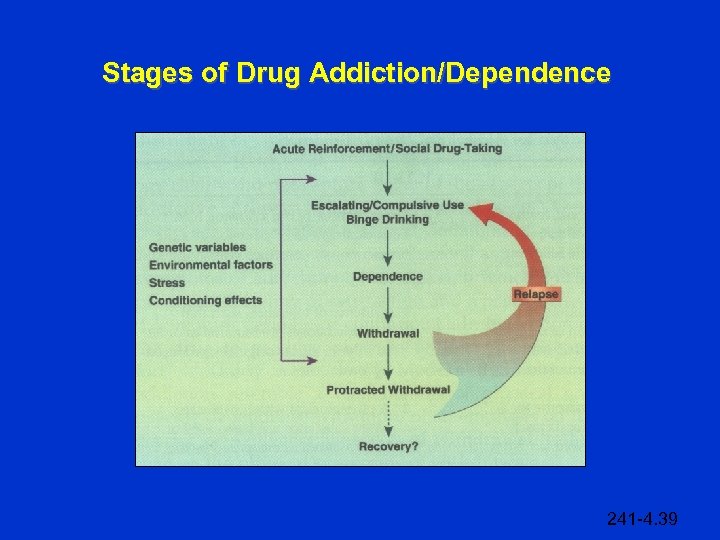 Stages of Drug Addiction/Dependence 241 -4. 39 