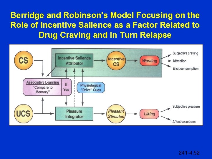 Berridge and Robinson's Model Focusing on the Role of Incentive Salience as a Factor