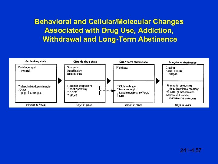 Behavioral and Cellular/Molecular Changes Associated with Drug Use, Addiction, Withdrawal and Long-Term Abstinence 241