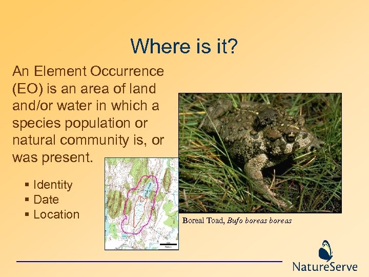 Where is it? An Element Occurrence (EO) is an area of land and/or water