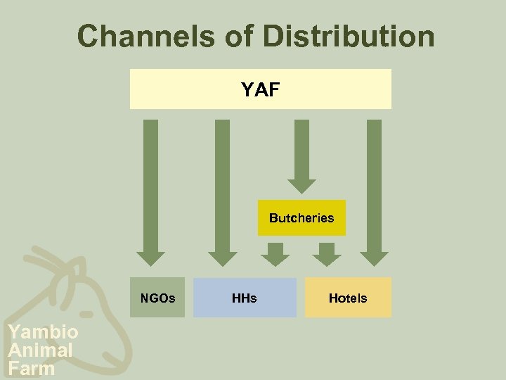 Channels of Distribution YAF Butcheries NGOs Yambio Animal Farm HHs Hotels 