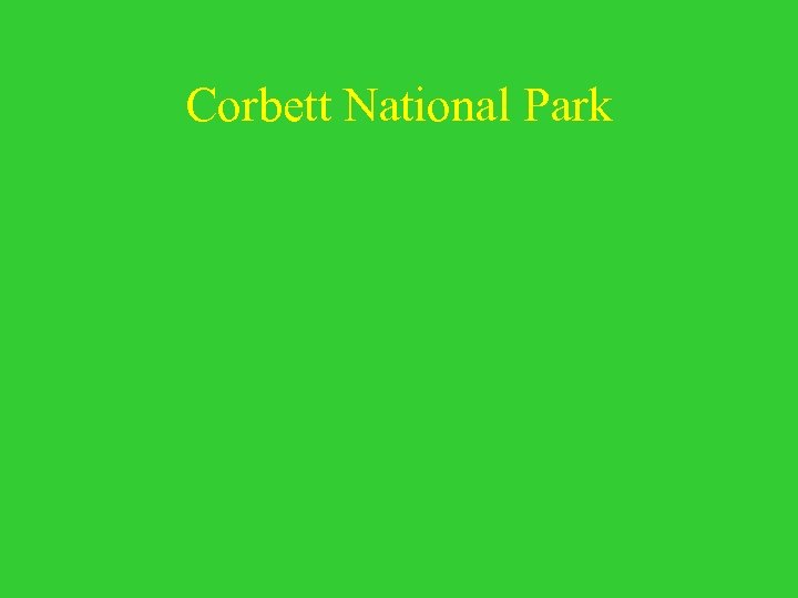 Corbett National Park 