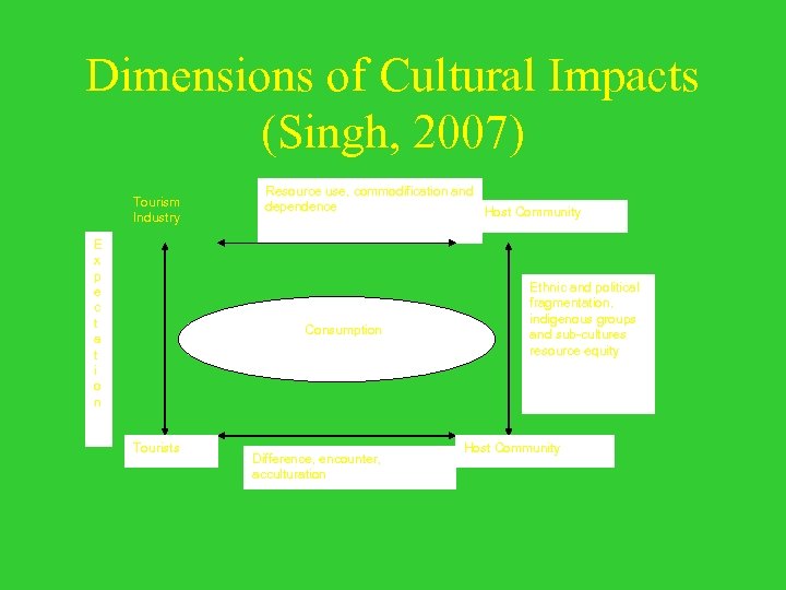 Dimensions of Cultural Impacts (Singh, 2007) Tourism Industry E x p e c t