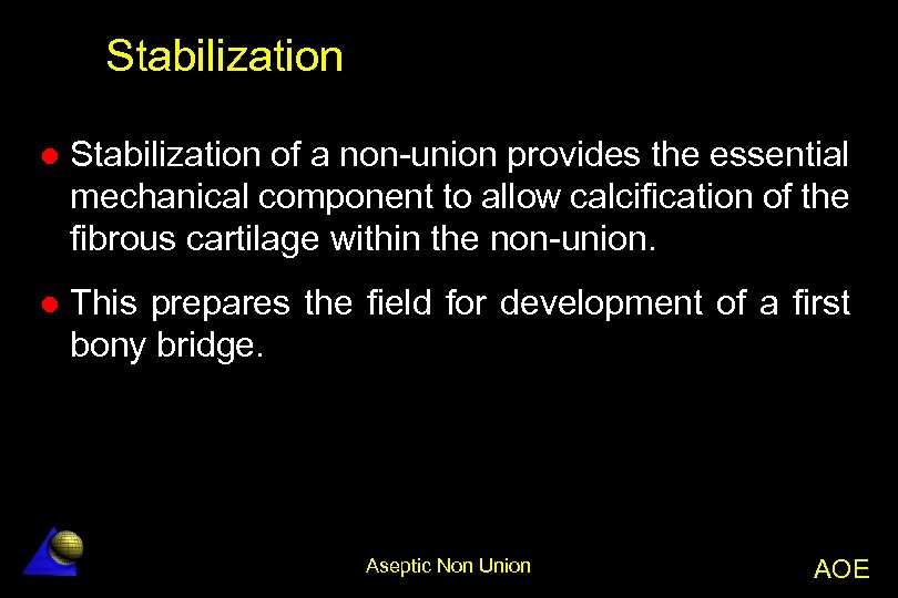 Stabilization l Stabilization of a non-union provides the essential mechanical component to allow calcification