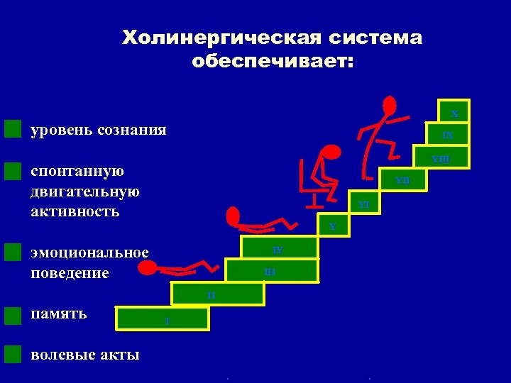Холинергическая система обеспечивает: X уровень cознания IX YIII спонтанную двигательную активность YII YI Y