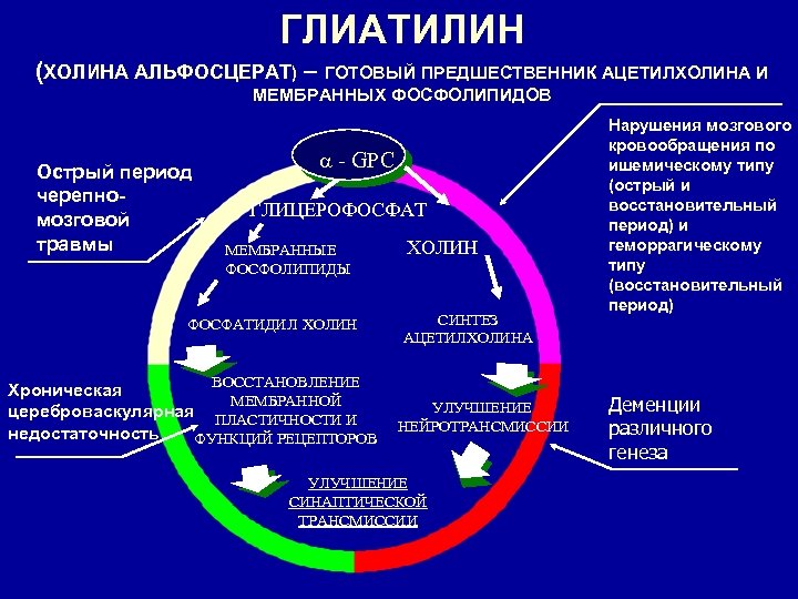 ГЛИАТИЛИН (ХОЛИНА АЛЬФОСЦЕРАТ) – ГОТОВЫЙ ПРЕДШЕСТВЕННИК АЦЕТИЛХОЛИНА И МЕМБРАННЫХ ФОСФОЛИПИДОВ Острый период черепномозговой травмы