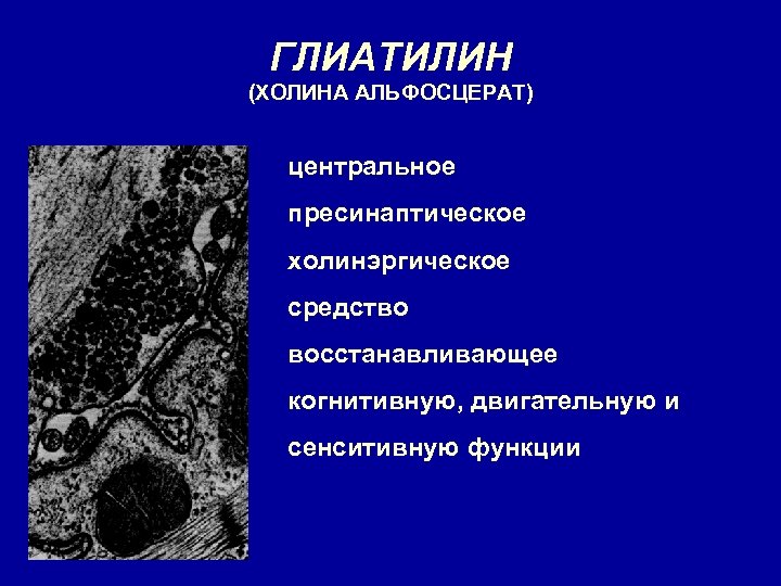 ГЛИАТИЛИН (ХОЛИНА АЛЬФОСЦЕРАТ) центральное пресинаптическое холинэргическое средство восстанавливающее когнитивную, двигательную и сенситивную функции 