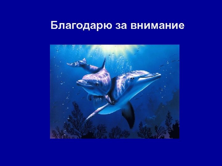 Благодарю за внимание 