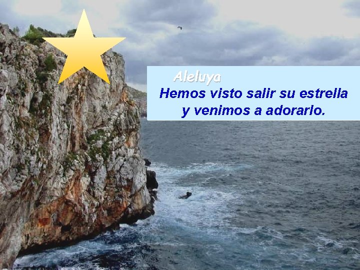 Aleluya Hemos visto salir su estrella y venimos a adorarlo. 