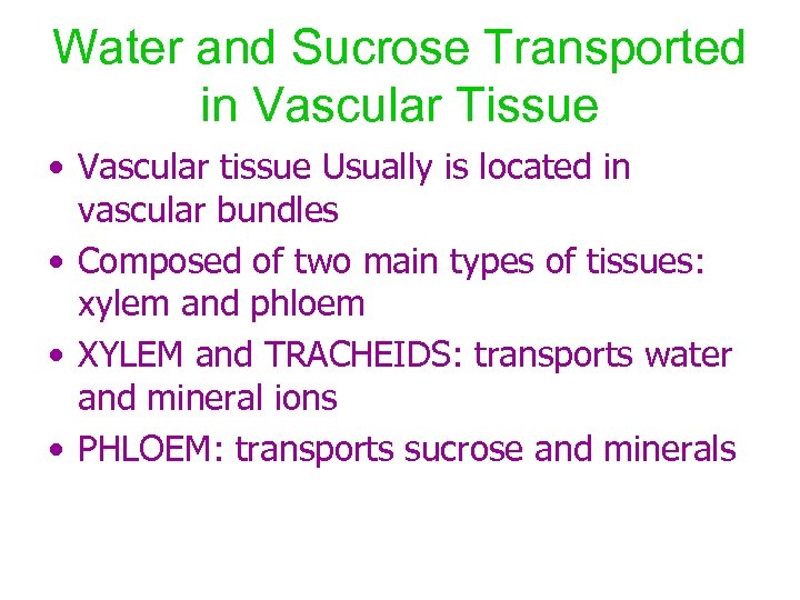 Water and Sucrose Transported in Vascular Tissue • Vascular tissue Usually is located in