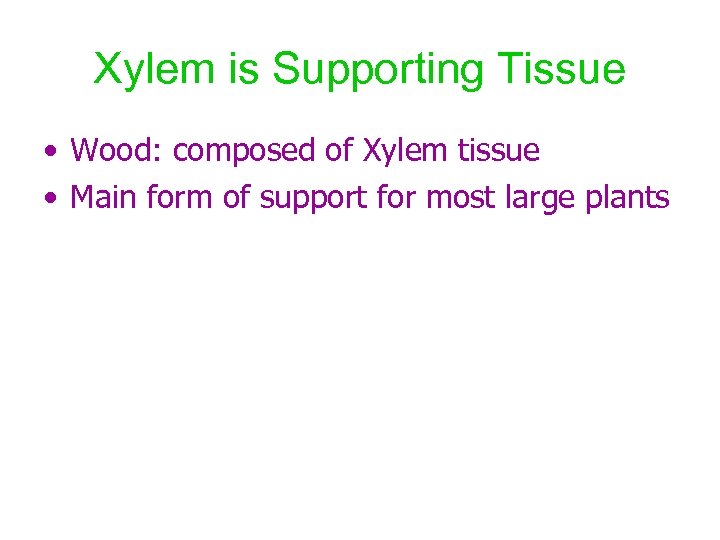 Xylem is Supporting Tissue • Wood: composed of Xylem tissue • Main form of