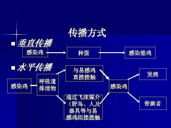 传播方式 n 垂直传播 感染鸡 n 水平传播 感染鸡 呼吸道 排泄物 种蛋 感染雏鸡 与易感鸡 直接接触 发病