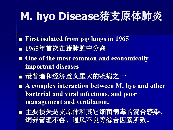 M. hyo Disease猪支原体肺炎 n n n First isolated from pig lungs in 1965年首次在猪肺脏中分离 One